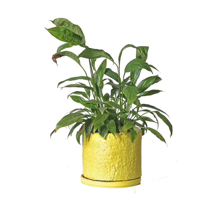 Yellow Pottery Vase